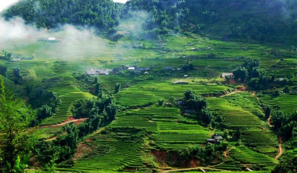 Hoạt động đối tác 1