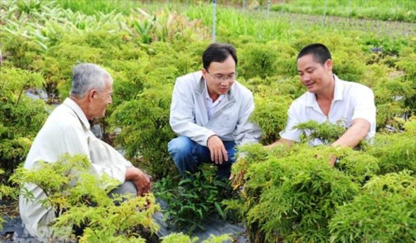 Hình ảnh doanh nghiệp SLight Ora